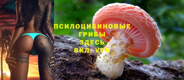 a pvp Баксан