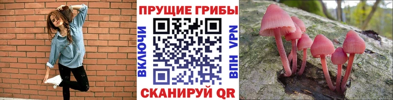 Псилоцибиновые грибы прущие грибы  Сердобск 